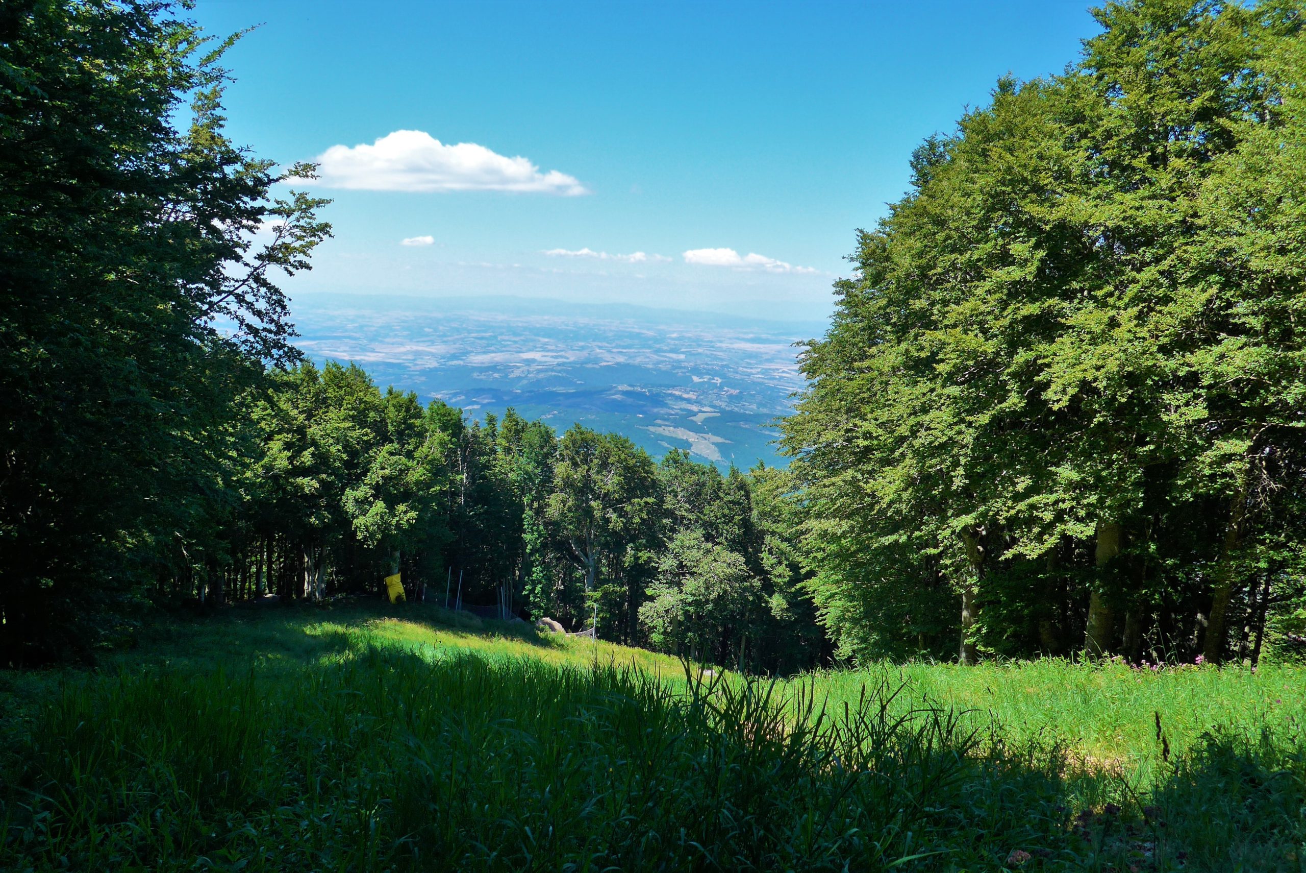 Camminando nella faggeta del monte Amiata: la più vasta d’Europa